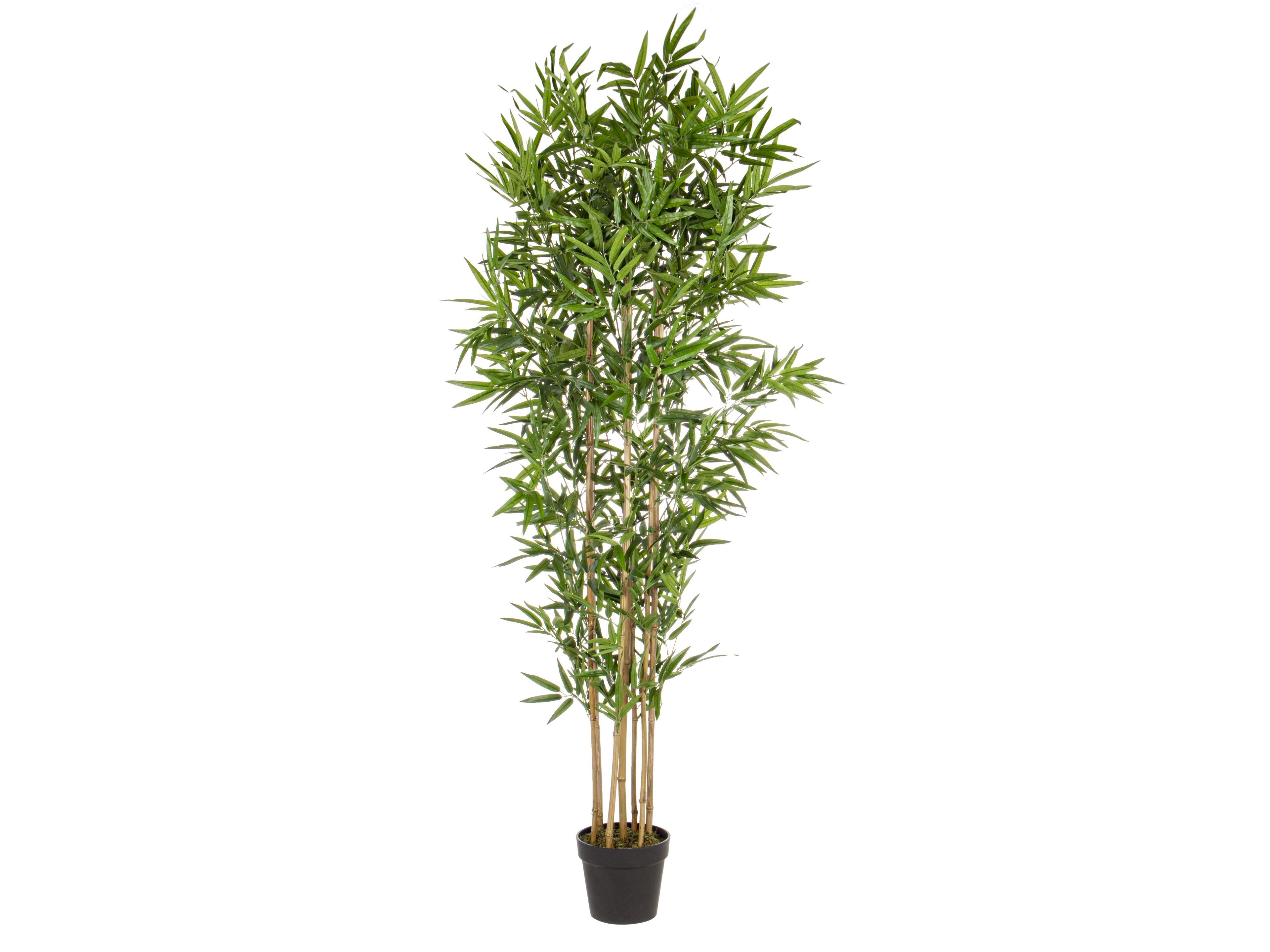 Искусственное растение BIZZOTTO BAMBOO H185 ARCH-00120459
