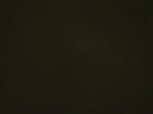 COLORISTICA 2211-80 Портьерная ткань  Лён  Shamrock