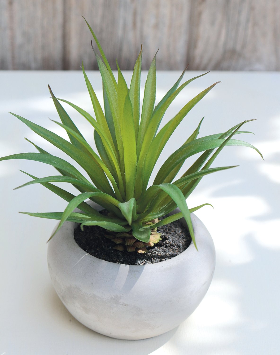 6035 883 a3 Пластиковые суккуленты-микс, горшечные, 6 шт., 7-12 см, зеленые H-andreas  - Вид №4