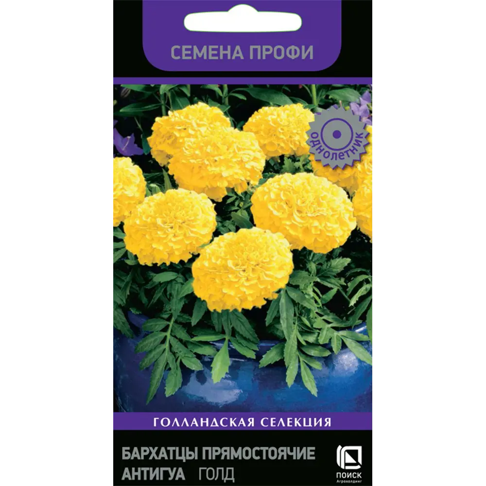 Бархатцы Антигуа Голд от ПОИСК - солнечные цветы для вашего сада 83577546 STLM-0961936