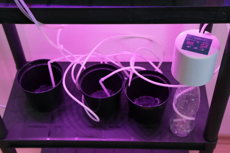 1911 Стеллаж для рассады 141*60*30 LAB.Space  - Вид №4