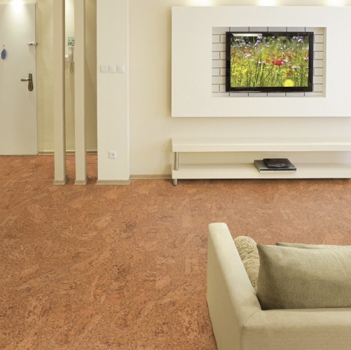 Пробка Wicanders Eco Cork Accent (Гладкая) 600х300 мм DN17002 - Вид №23