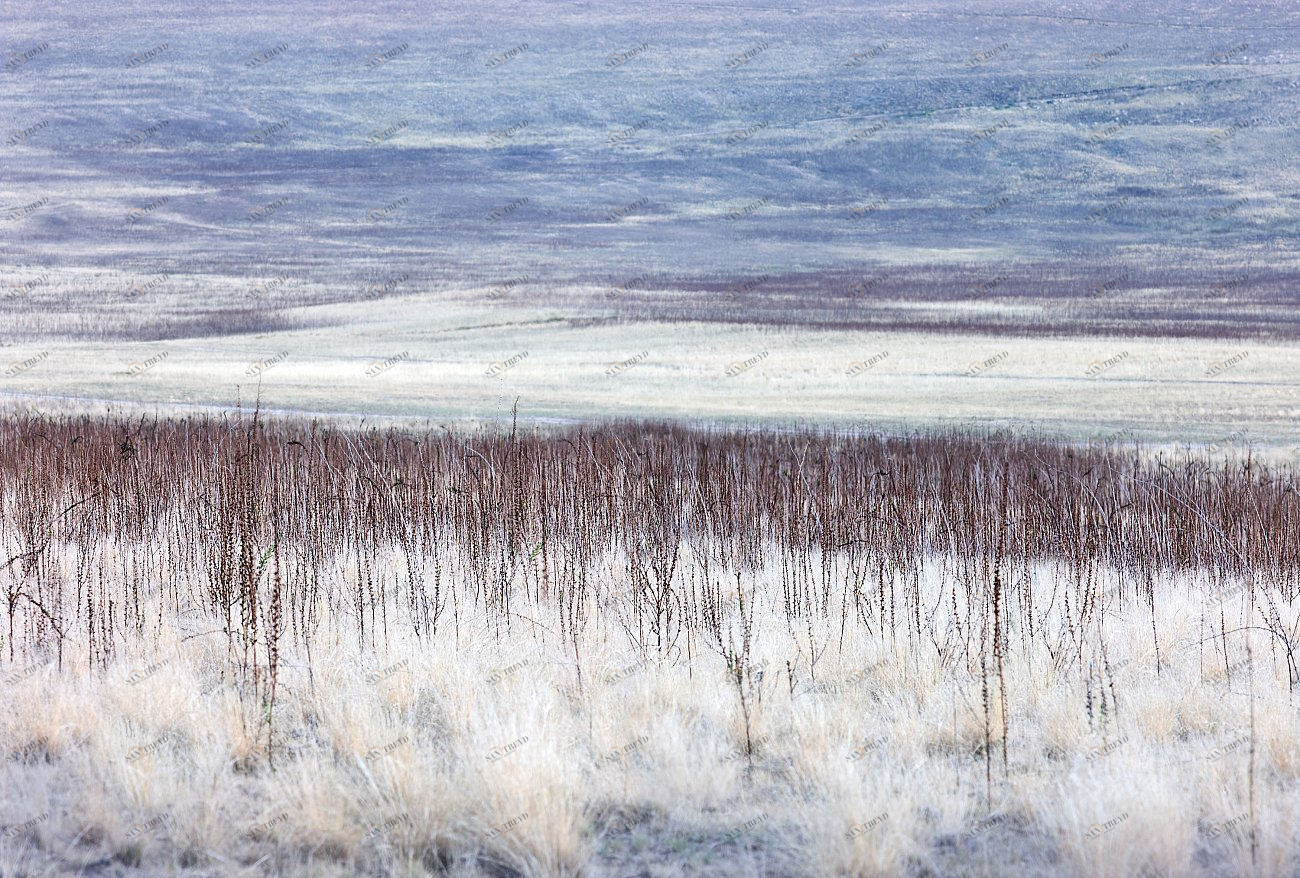 Фотокартина 70х47 см «180°» PANKOVSKY STUDIO ПЛАСТИФИКАЦИЯ 015884 Белый;голубой;серый 