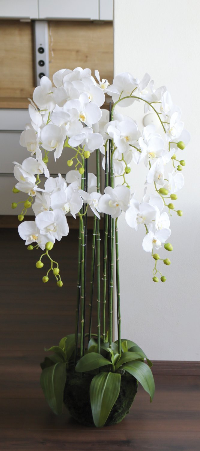 2860 777 a3 Пластиковая орхидея Phalaenopsis с 'почвой', 9-кратная, 120 см, real touch, белая H-andreas  - Вид №1
