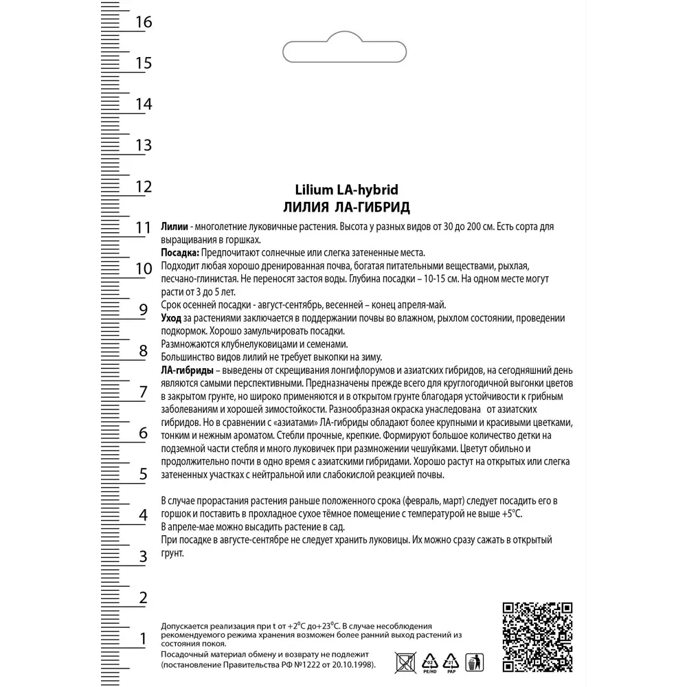 Лилия ЛА-гибриды Самур 14/16, 1 шт 82530220 STLM-2147748 Santreyd  - Вид №1