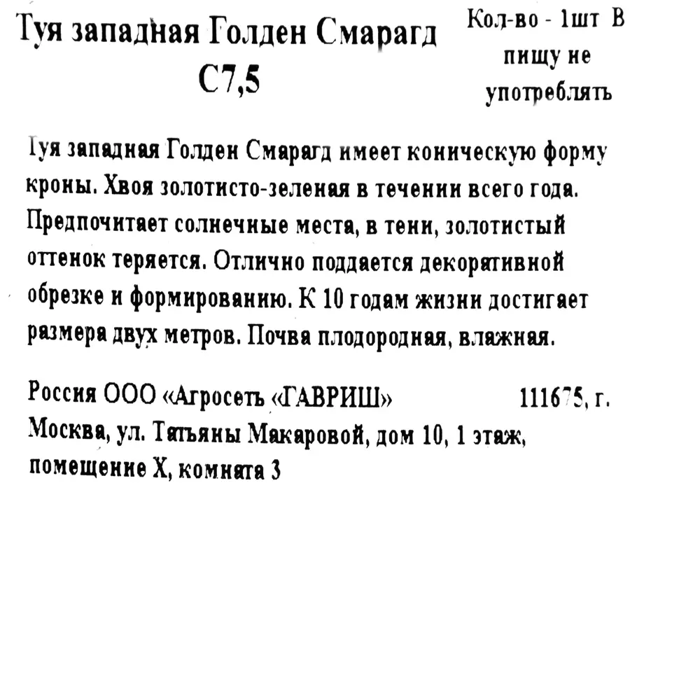 Туя западная «Голден Смарагд» 22x80 см ГАВРИШ STLM-2208209 - Вид №1