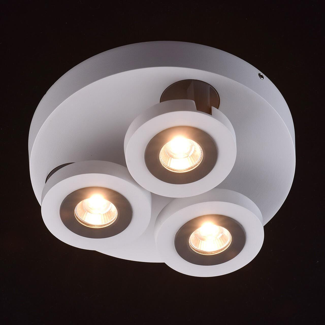 Спот потолочный белый De Markt "Астор 3" 545020903 DE MARKT АСТОР 00-3924001 Белый - Вид №3