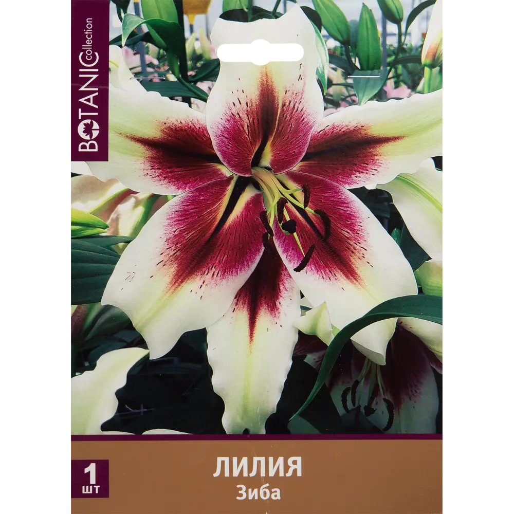 Лилия Зиба 12/14, 1 шт 82539378 STLM-2042964 Santreyd 