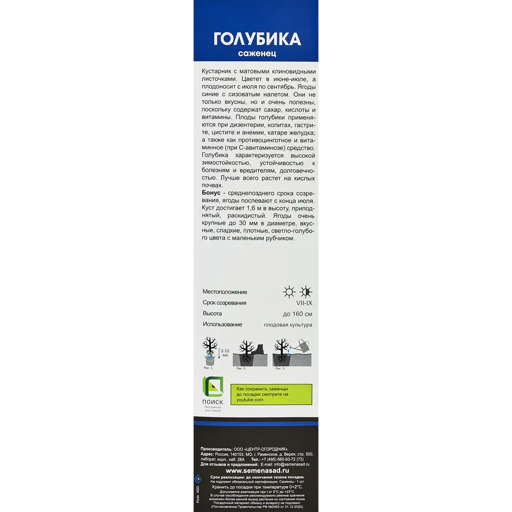 Голубика высокорослая Бонус короб h35 см 89353467 STLM-2049651 Santreyd  - Вид №2