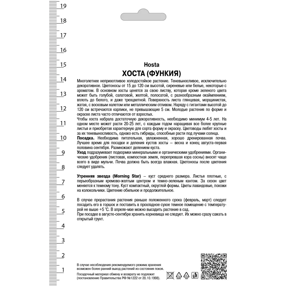 Хоста гибридная «Морнинг Стар» Santreyd STLM-2114478 - Вид №1