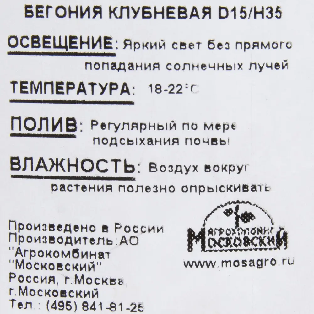 Бегония клубневая 15x35 см 12510710 STLM-2111951 Santreyd  - Вид №2