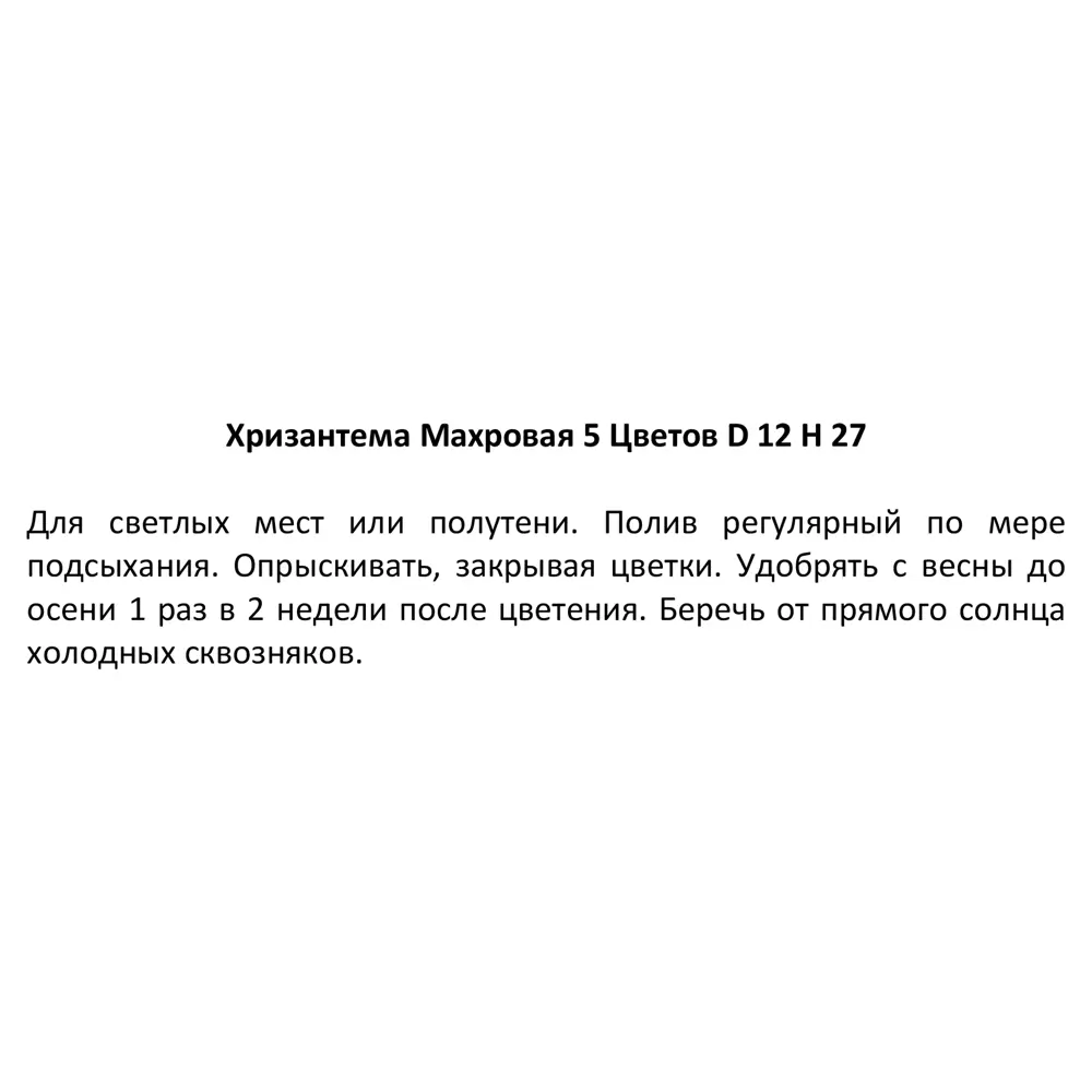 Хризантема Махровая 5 цветов 12x27.5 см 82548599 STLM-2044125 Santreyd  - Вид №5