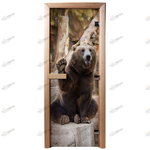 DoorWood Дверь с фотопечатью А061 5545