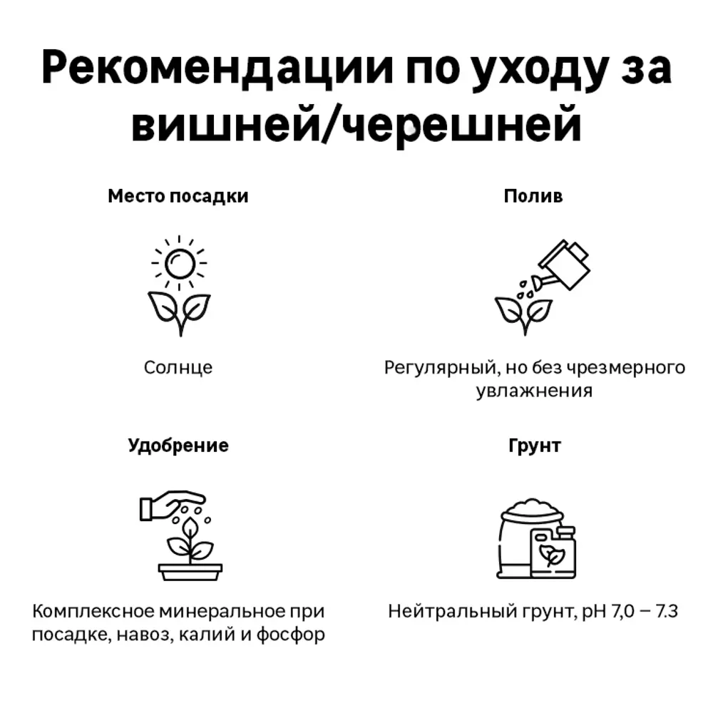 Вишня Харитоновская сетка h180 см 86544041 STLM-2000307 Santreyd  - Вид №2