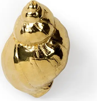 OC2022 Natica PULLCAST Ocean Collection  - Вид №1