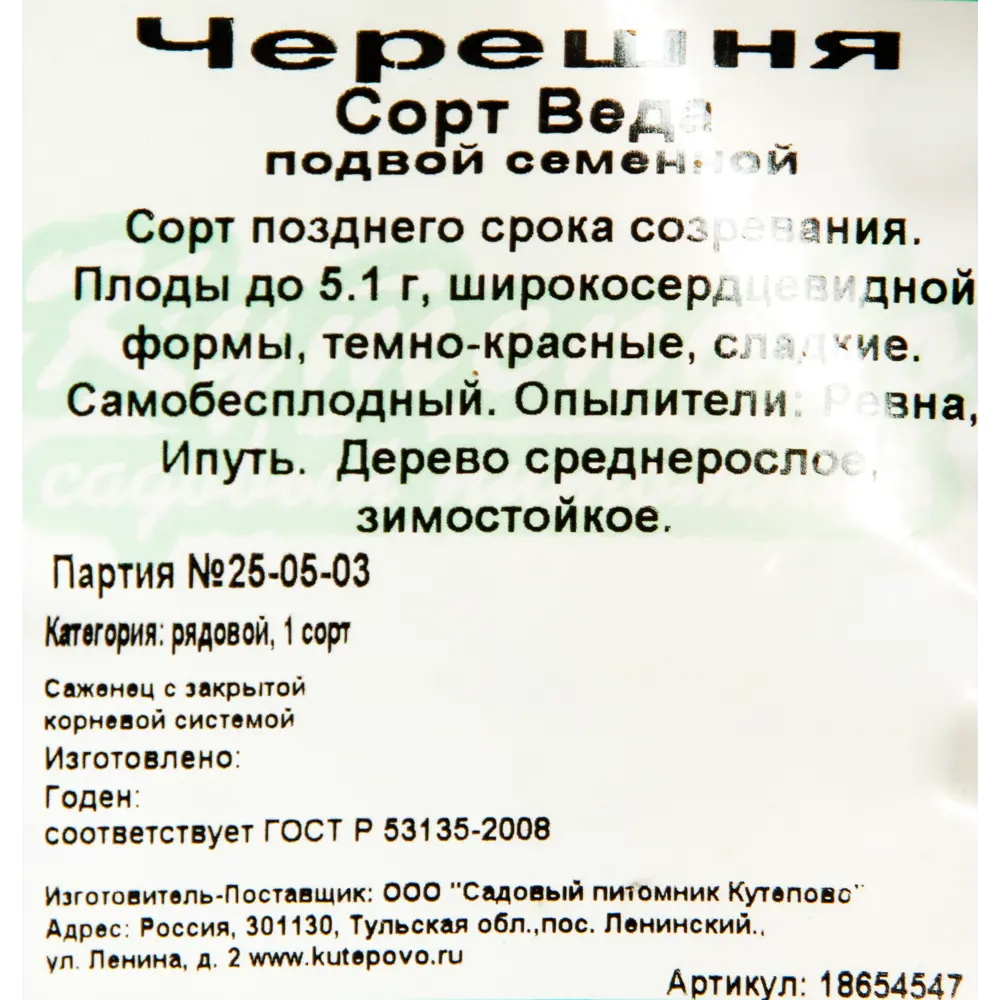 Черешня «Веда» 7 л 18654547 STLM-2082013 Santreyd  - Вид №1