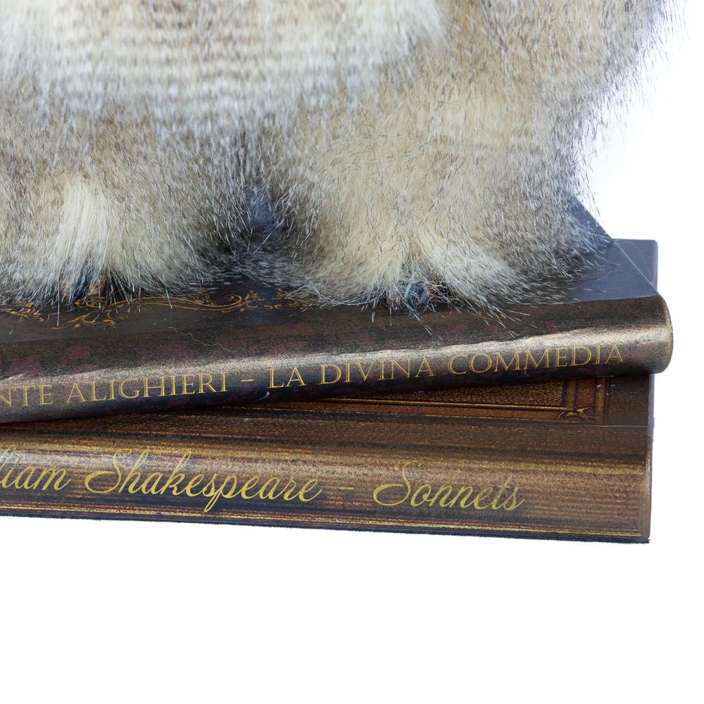 76012 Коллекционная кукла Филин Шопенгауэр BOGACHO 4627138150771 - Вид №11