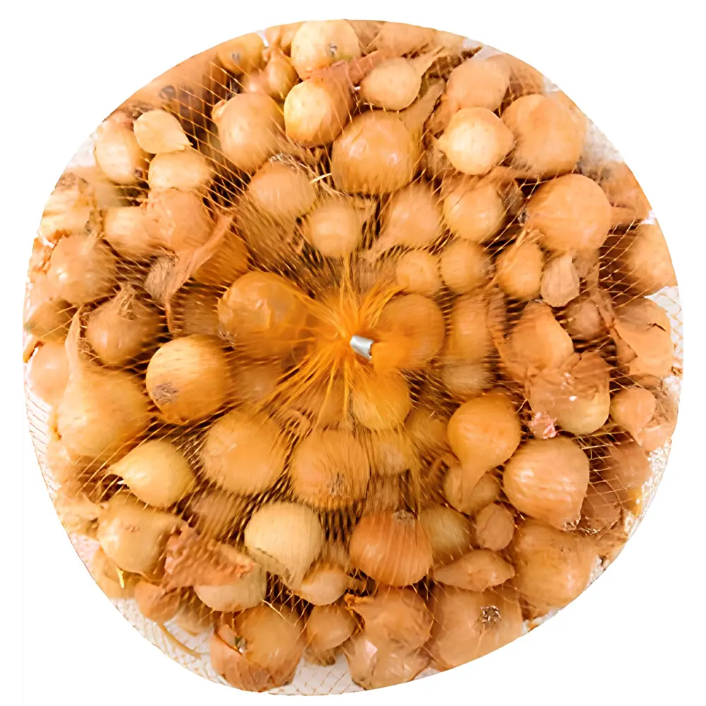 89389745 Лук-севок озимый Ледокол луковицы 15 мм 0.45 кг STLM-1450815 Santreyd 