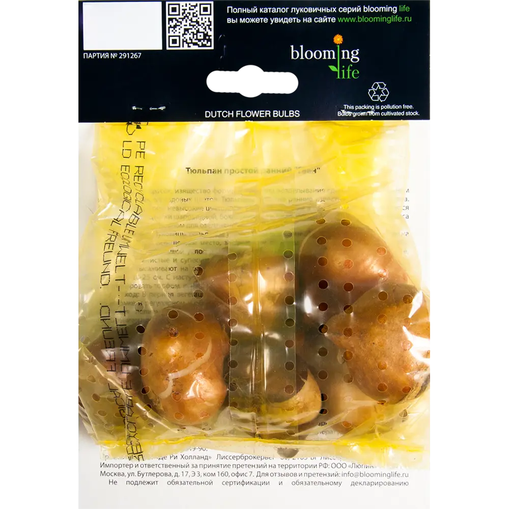 Тюльпан Гвен 12/+, 7 шт 16397786 STLM-2171954 Santreyd  - Вид №1