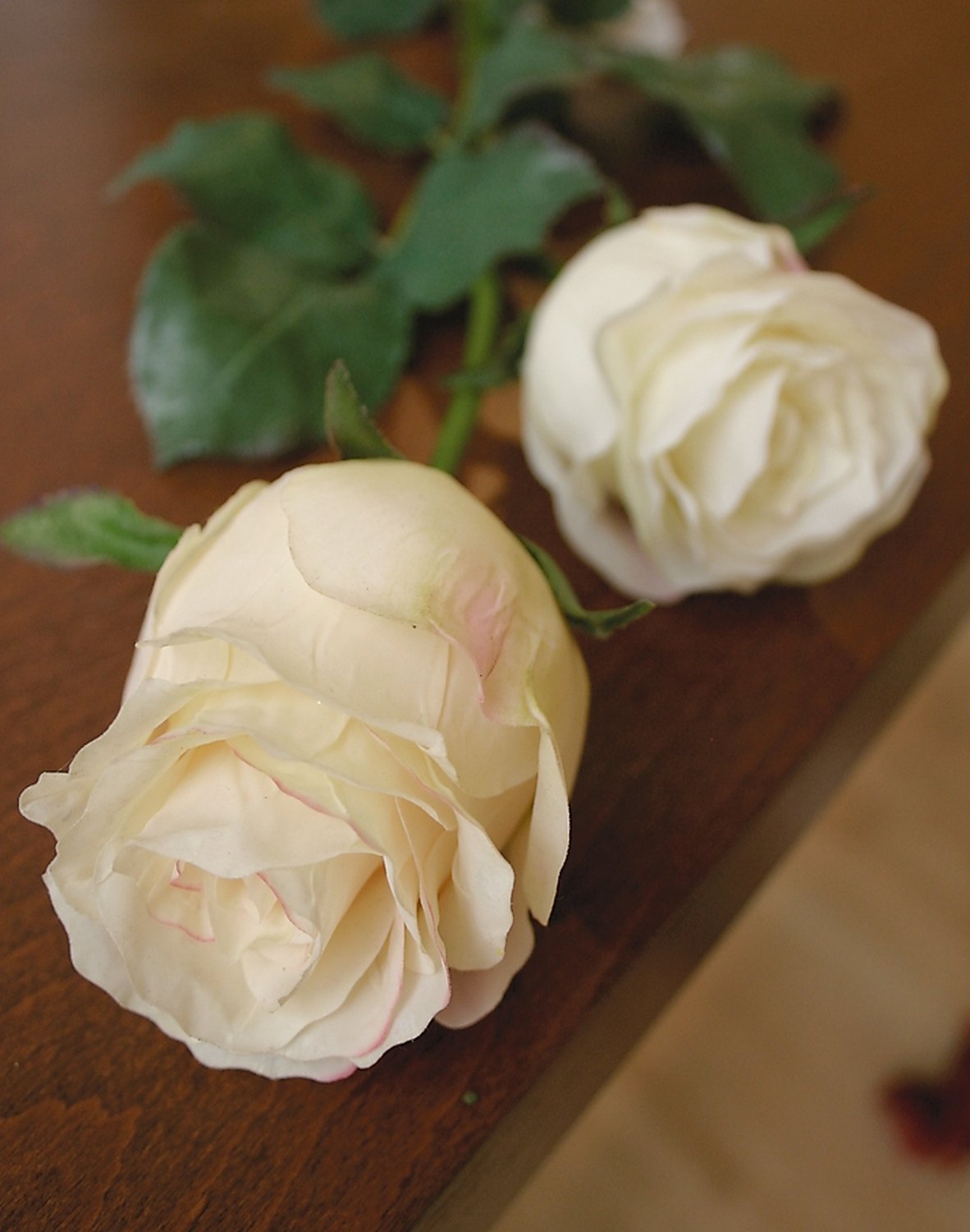 3256 705 a3 Ложная роза Duchesse, 85 см, бело-розовая H-andreas  - Вид №1