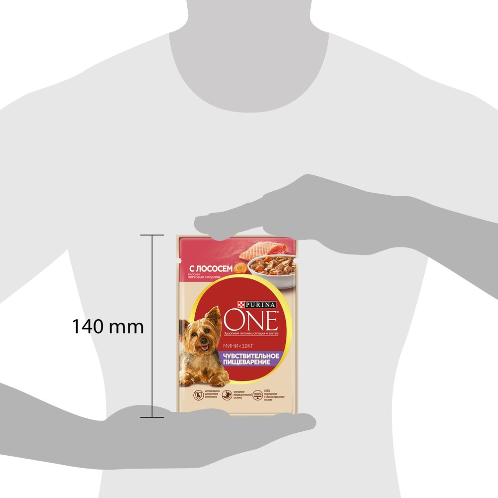 ПР0059701 Корм для собак для мелких пород с чувствительным пищеварением, лосось, рис, морковь пауч 85г ONE  - Вид №4
