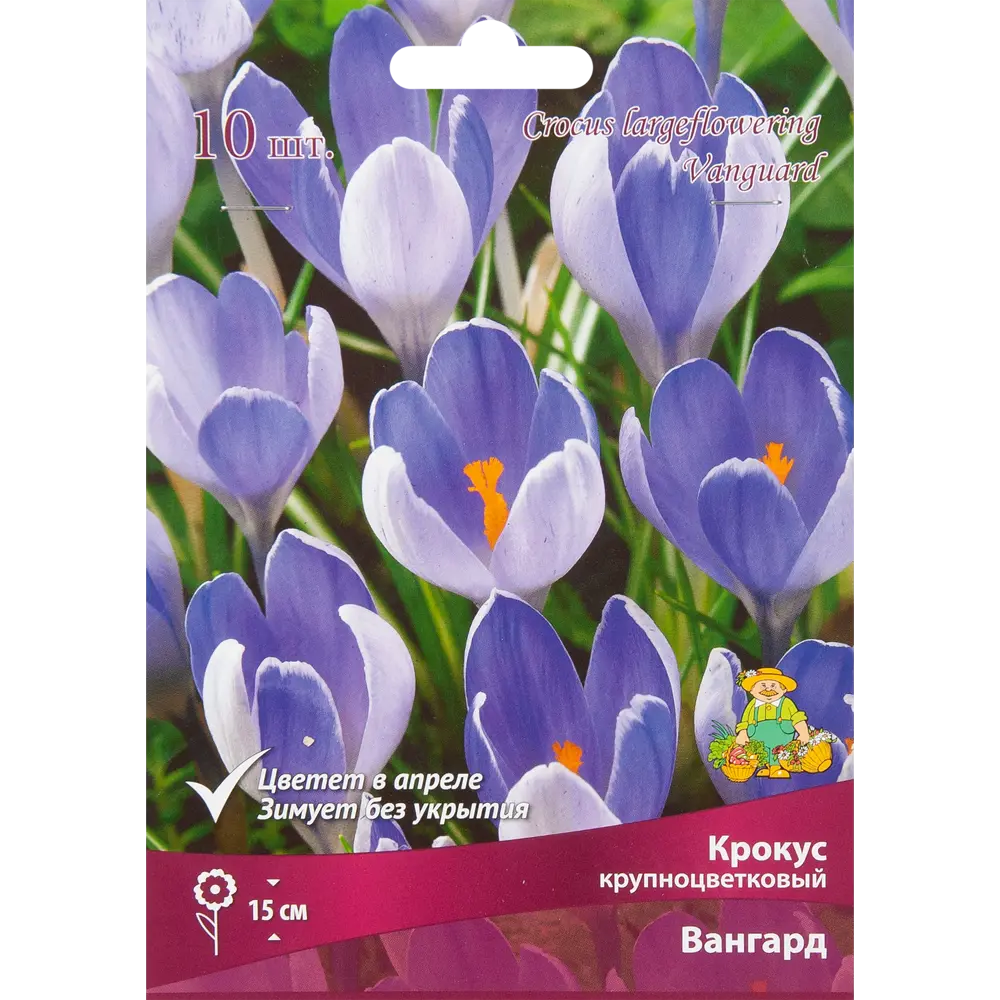 Крокус крупноцветковый микс 8/9, 10 шт 17981061 STLM-2093132 Santreyd 