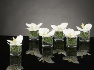 VGnewtrend Искусственное растение  1141152.95