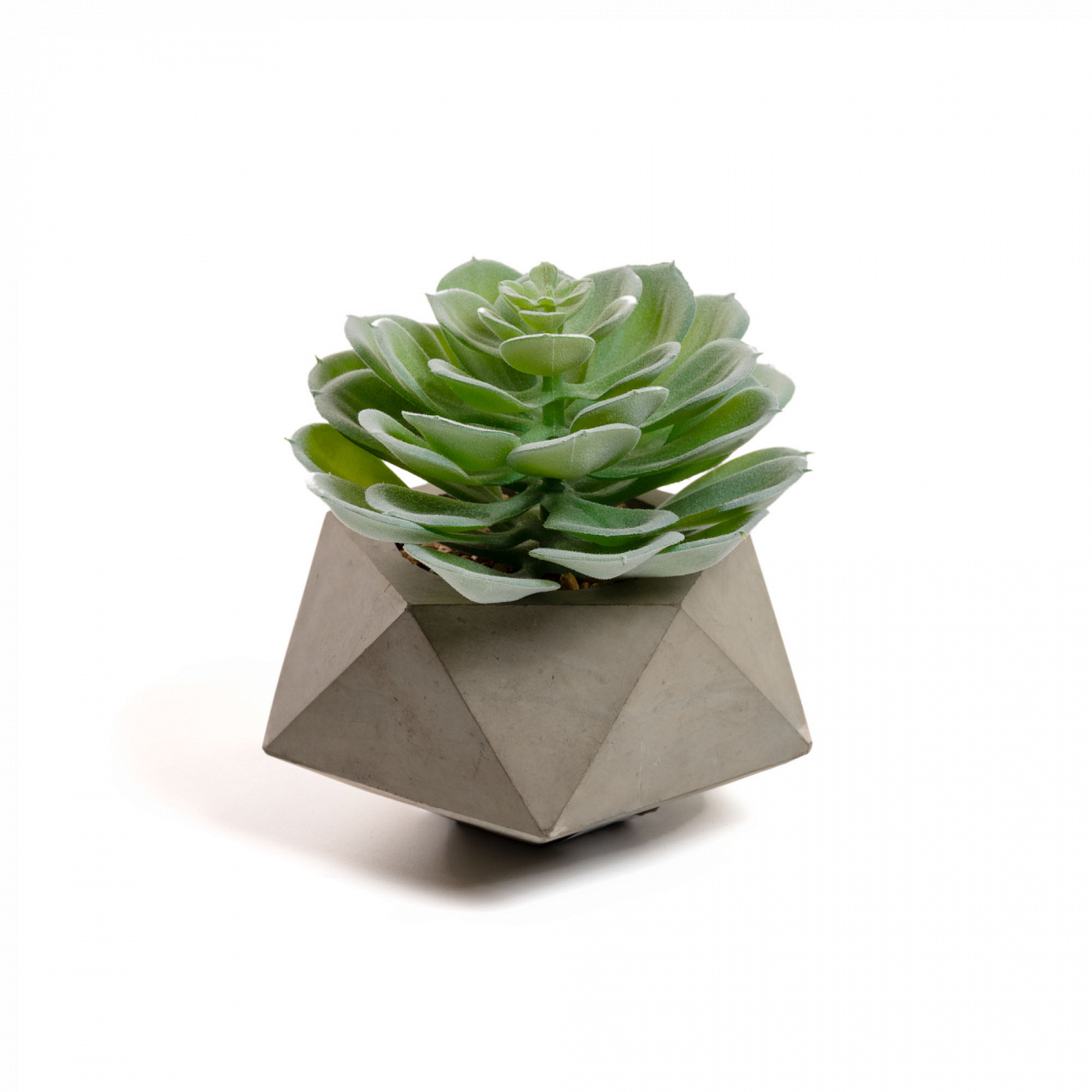 072457 Flower Искусственное растение glauca в цементном горшке La Forma Echeveria 