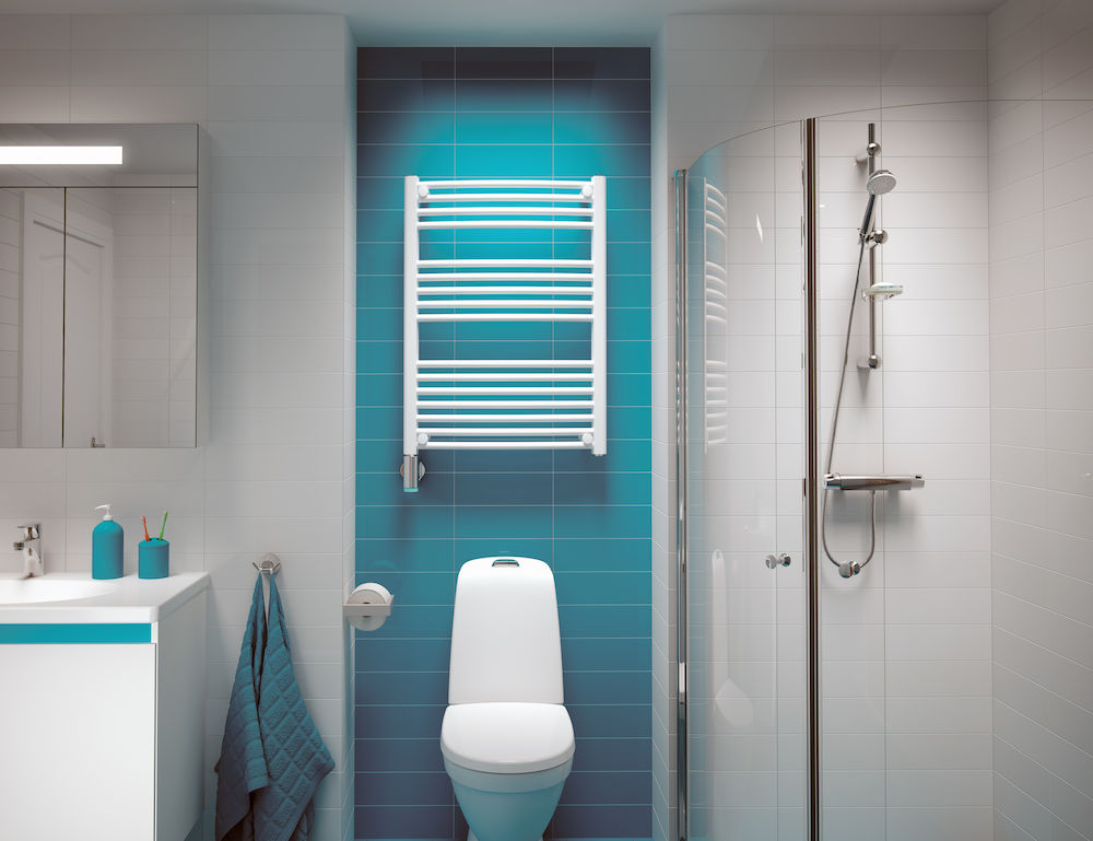 PAX 24-5202 Полотенцесушитель электрический Поднимитесь 500 х 1000, вит  - Вид №1