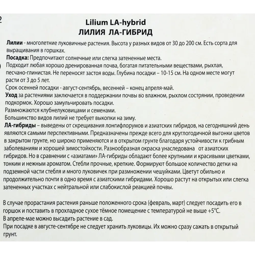 Лилии ЛА-гибриды «Менорка», размер луковицы 14/16, 1 шт Santreyd STLM-2023124 - Вид №2