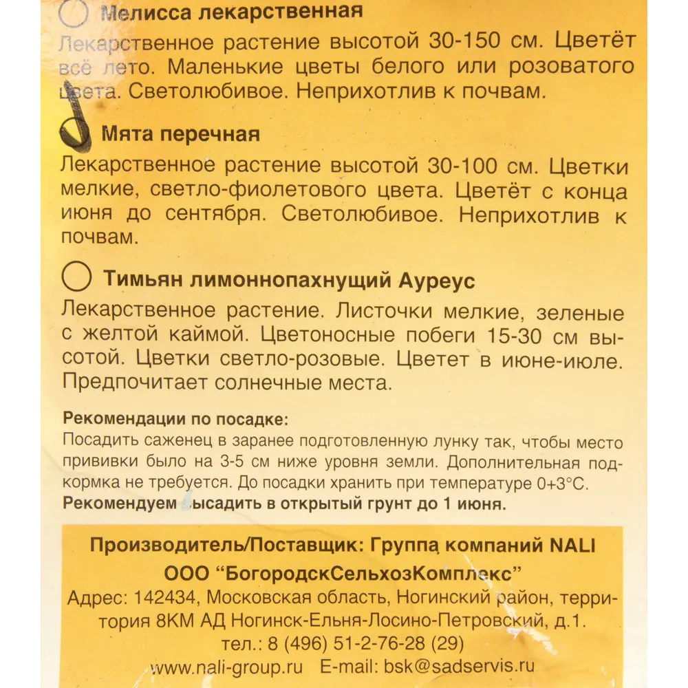 Мята перечная Santreyd STLM-2094692 - Вид №1