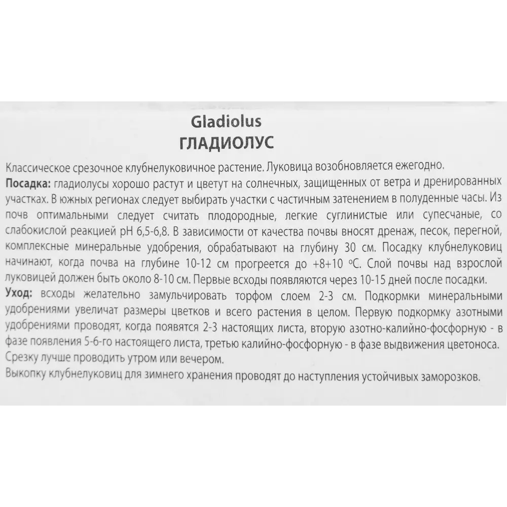 Гладиолус крупноцветковый Май Лав, 3 шт ПОИСК STLM-2186677 - Вид №2