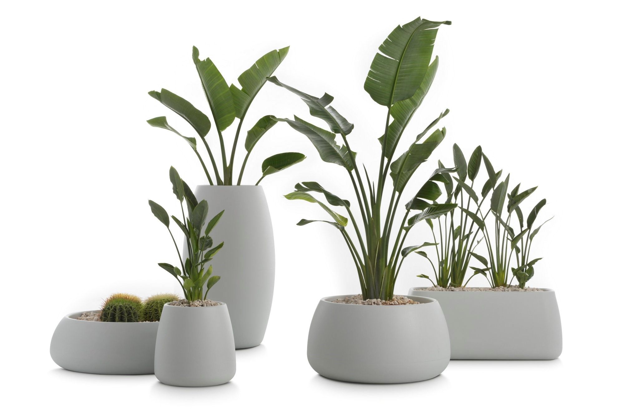 Пластиковый садовый горшок Diabla ARCH-00040023 - Вид №8