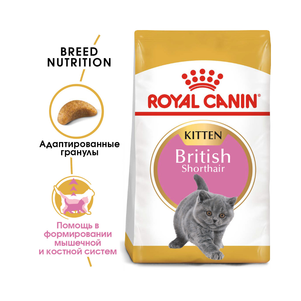 ПР0026362 Корм для котят British Shorthair Adult для породы Британская короткошёрстная сух. 400г ROYAL CANIN  - Вид №1