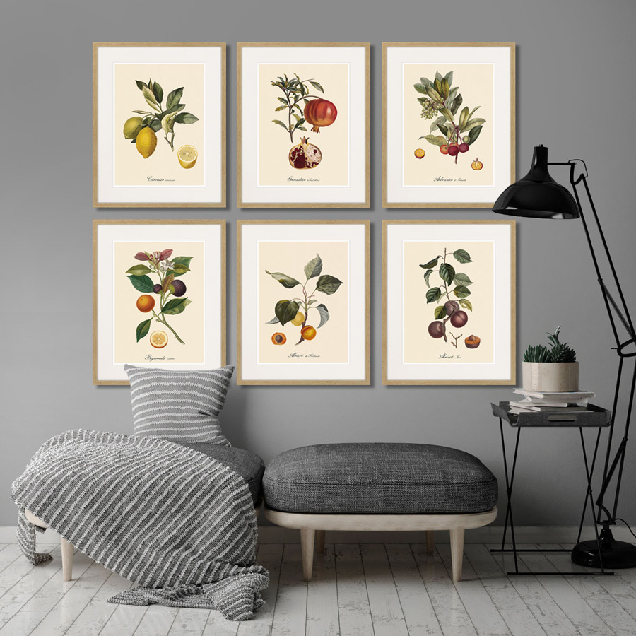 Картина в раме 52х42 см Juicy fruit lithography №7, 1870г. КАРТИНЫ В КВАРТИРУ  264435 Зеленый;красный;разноцветный  - Вид №2