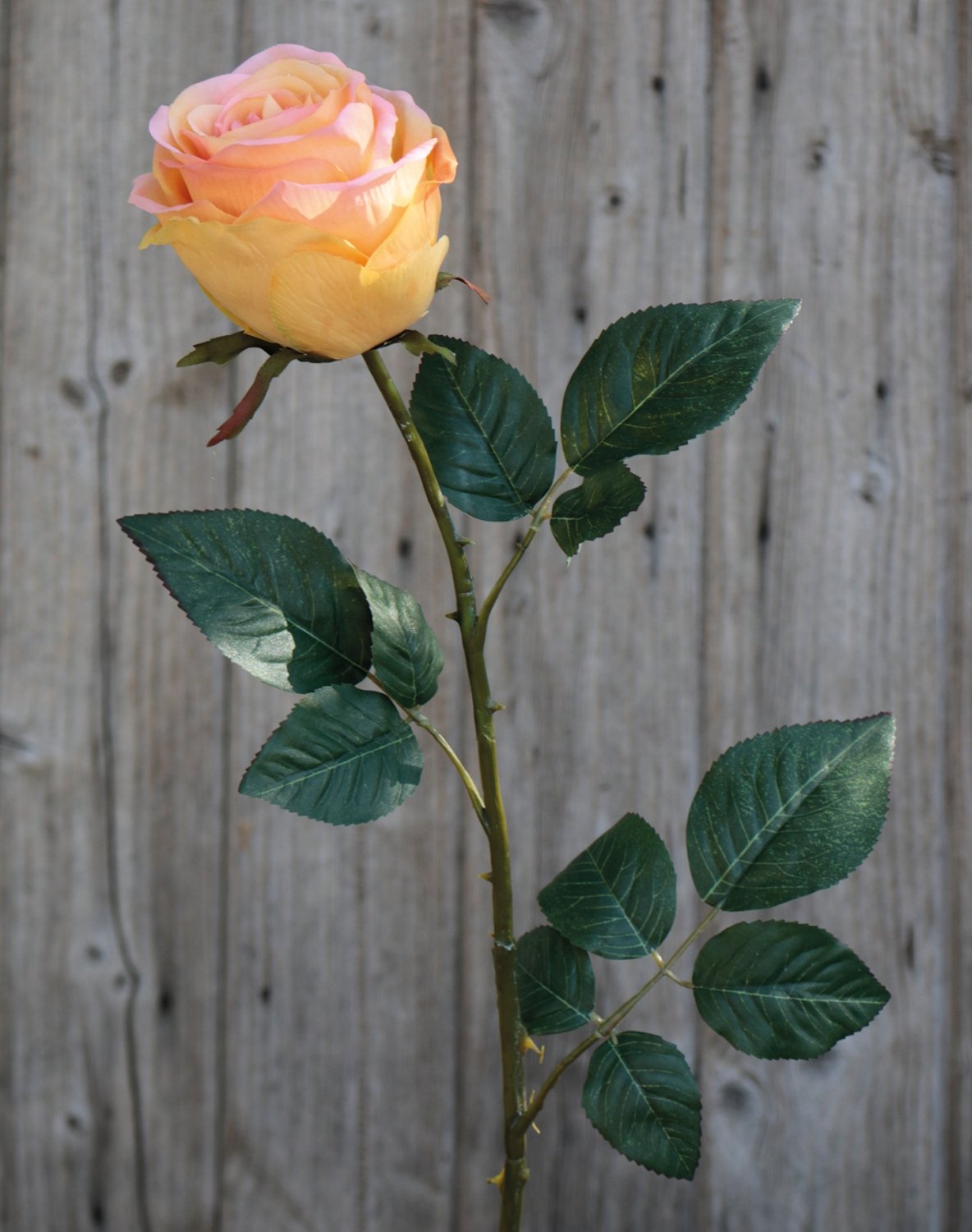 9816 350 a3 Искусственная роза, 90 см, желто-розовая H-andreas 