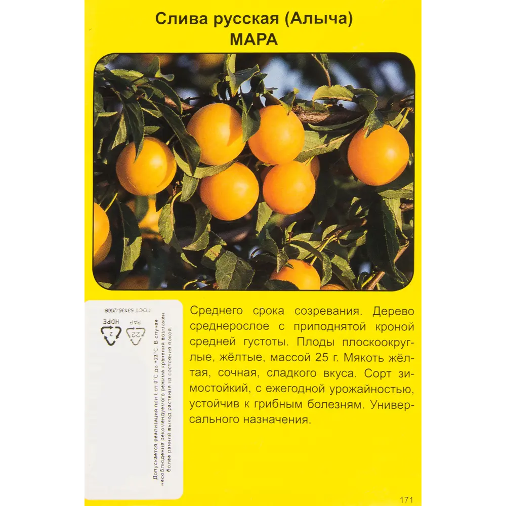 Слива русская в ассортименте h90 см 83788023 STLM-2126681 Santreyd  - Вид №1