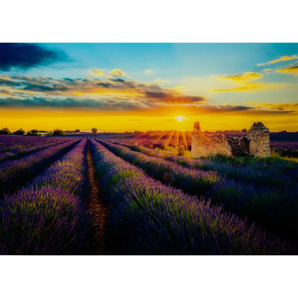 Картина на стекле «Лавандовые поля» 50x70 см 82402198 STLM-2029897 Santreyd 
