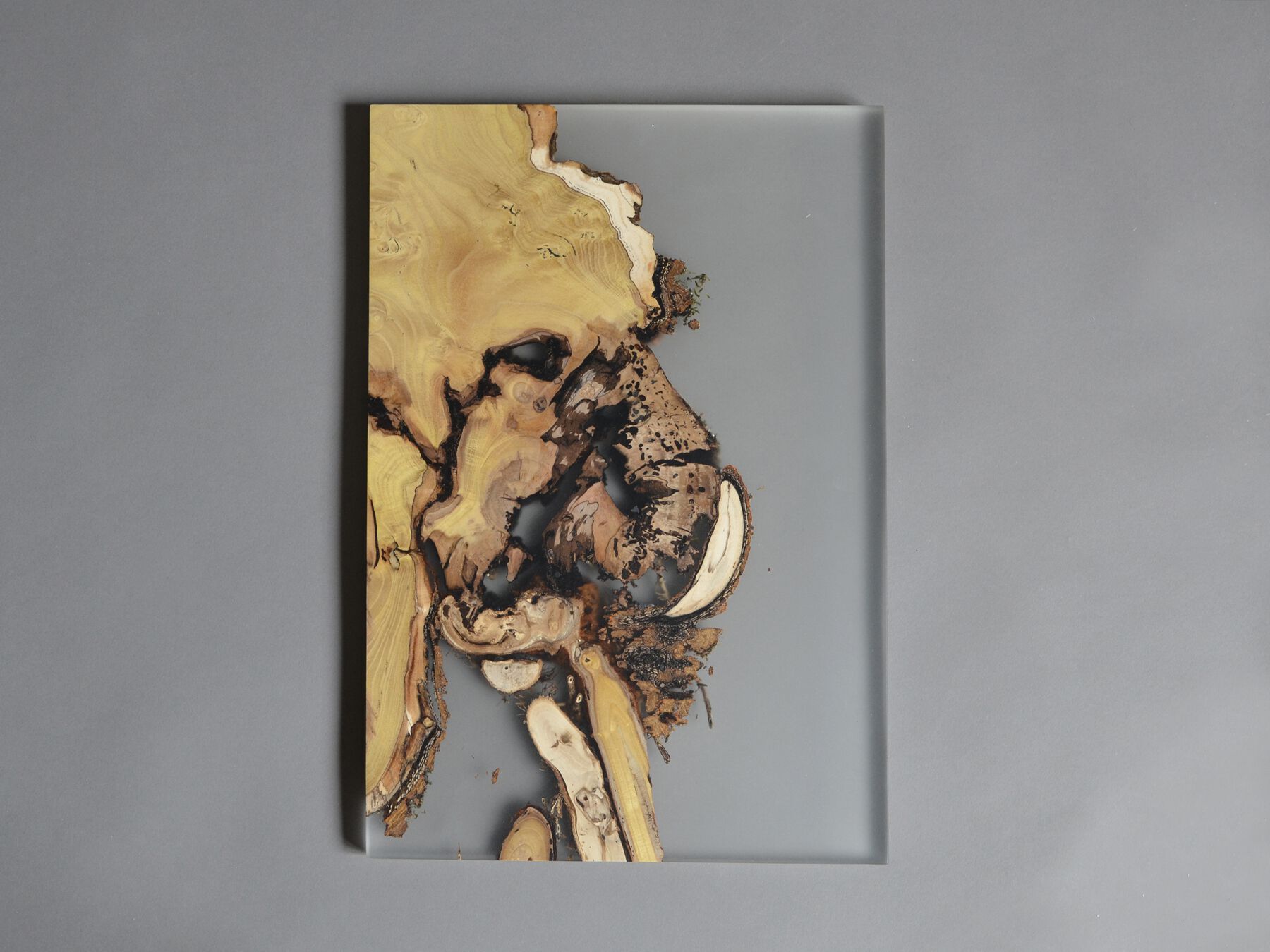 Рамка из массива дерева и смолы alcarol Undergrowth ARCH-00082208 - Вид №3