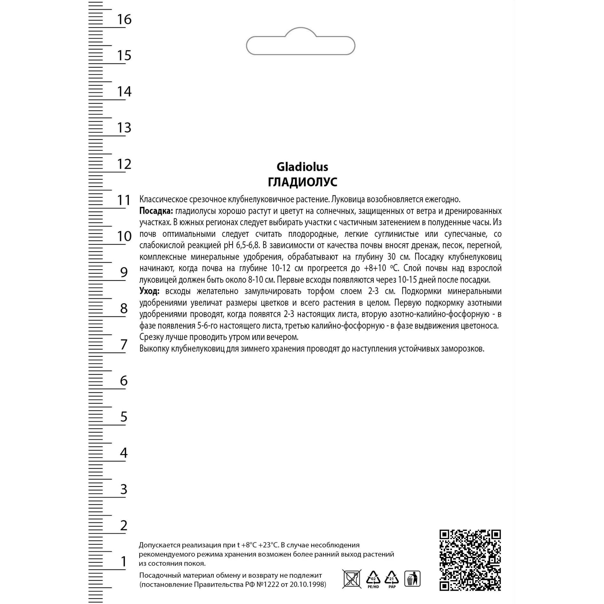 82530178 Гладиолусы крупноцветковые Саншайн Santreyd  - Вид №1