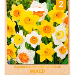 Нарцисс крупный «Mixed» размер луковицы 12/14, 2 шт. 82365237 STLM-2083673