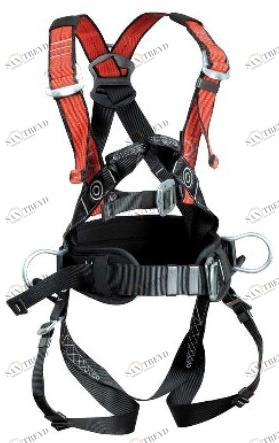 COFRA Ремень с фиксирующим ремнем Masterfit sun-id-1424875