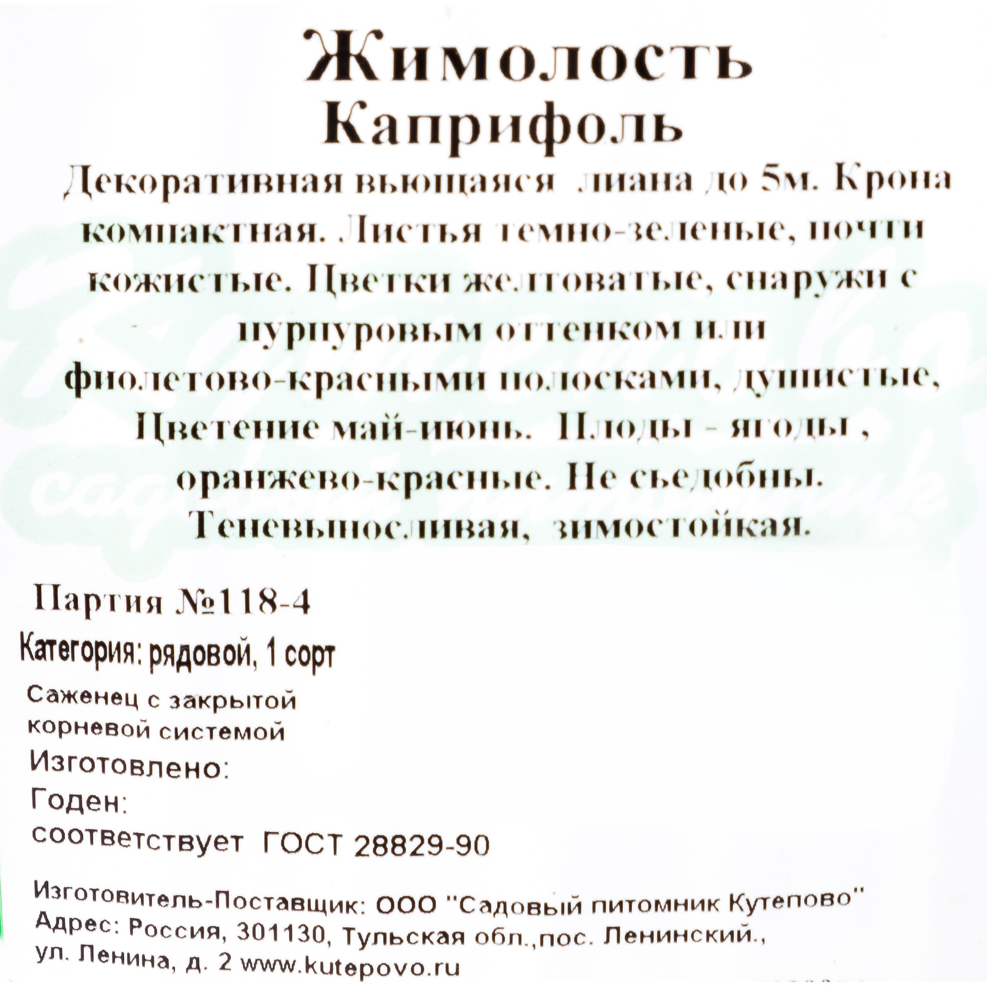 18320993 Жимолость каприфоль С2, 50 см Santreyd  - Вид №2