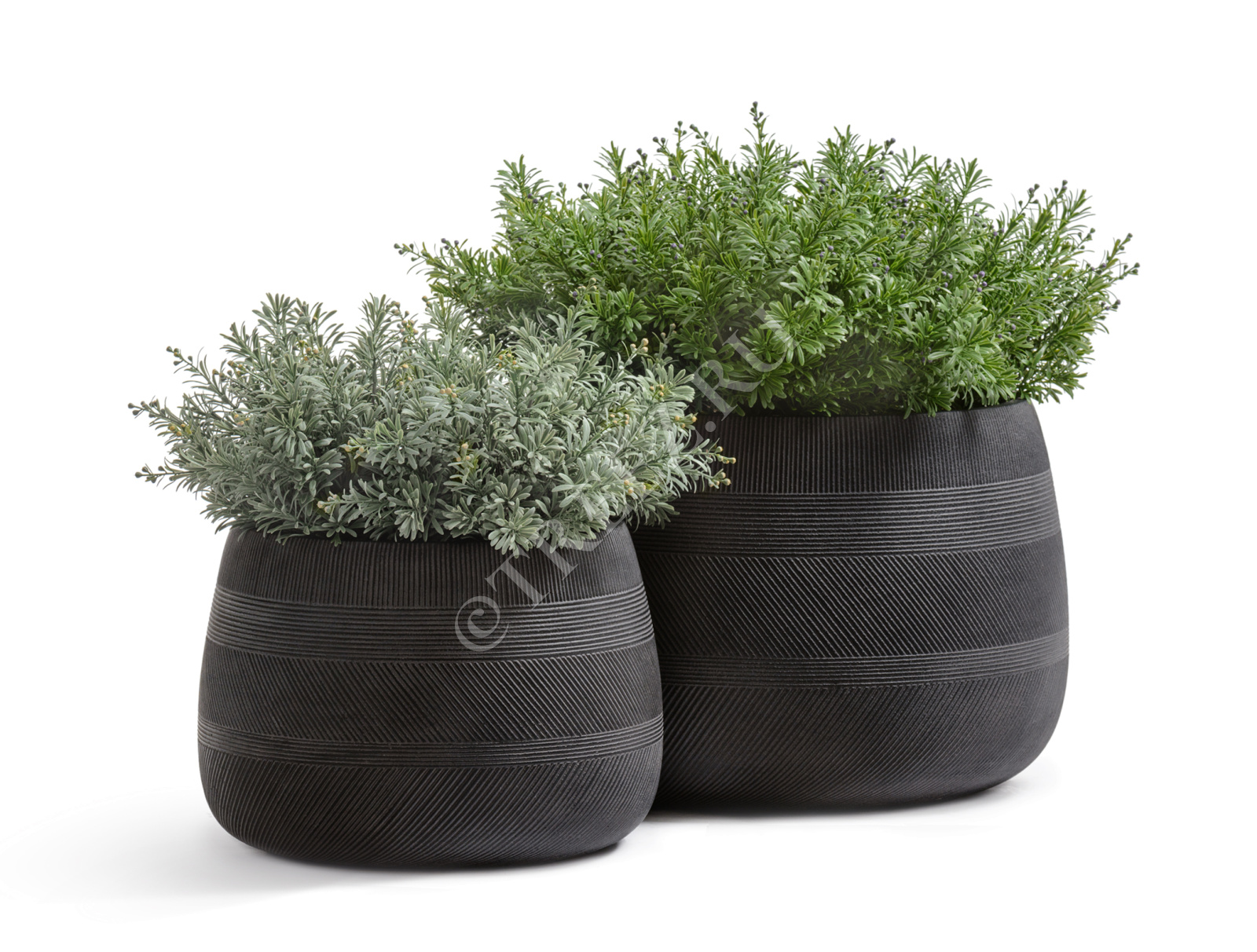 41.1020-0044-BLW-29 Кашпо  ERGO - серия Graphics - Низкая чаша - Чёрный графит Цветочная коллекция  - Вид №4