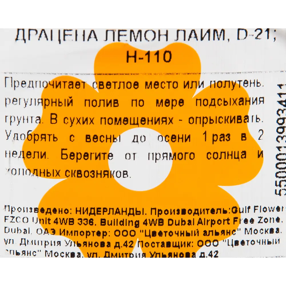 Драцена "Лимон лайм" 21x110 см 82850312 STLM-2159595 Santreyd  - Вид №2
