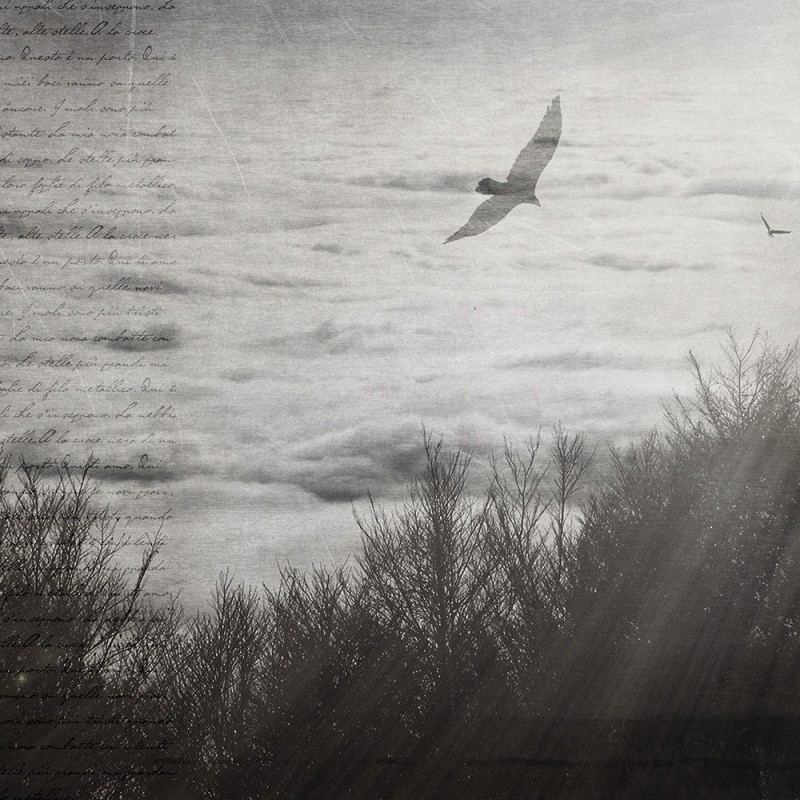 WP02008A Обои декоративные Adriani e Rossi  - Вид №6