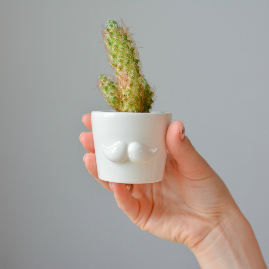 MIN-1-02 Набор для выращивания eco мини-кашпо «усы» Экочеловеки 