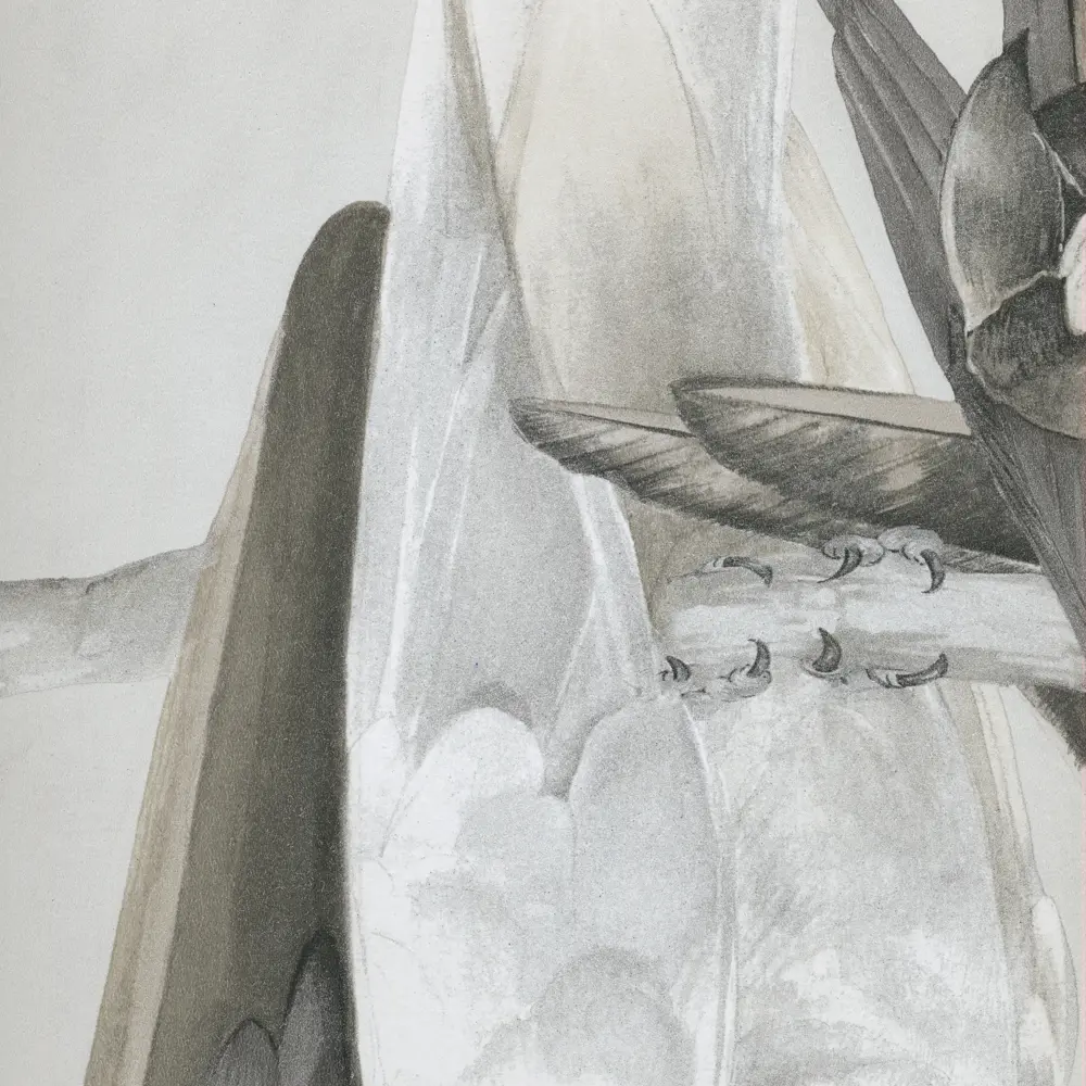 Обои флизелиновые Rasch Lucy in the Sky бежевые 0.53 м 803105 STLM-2192157 - Вид №1