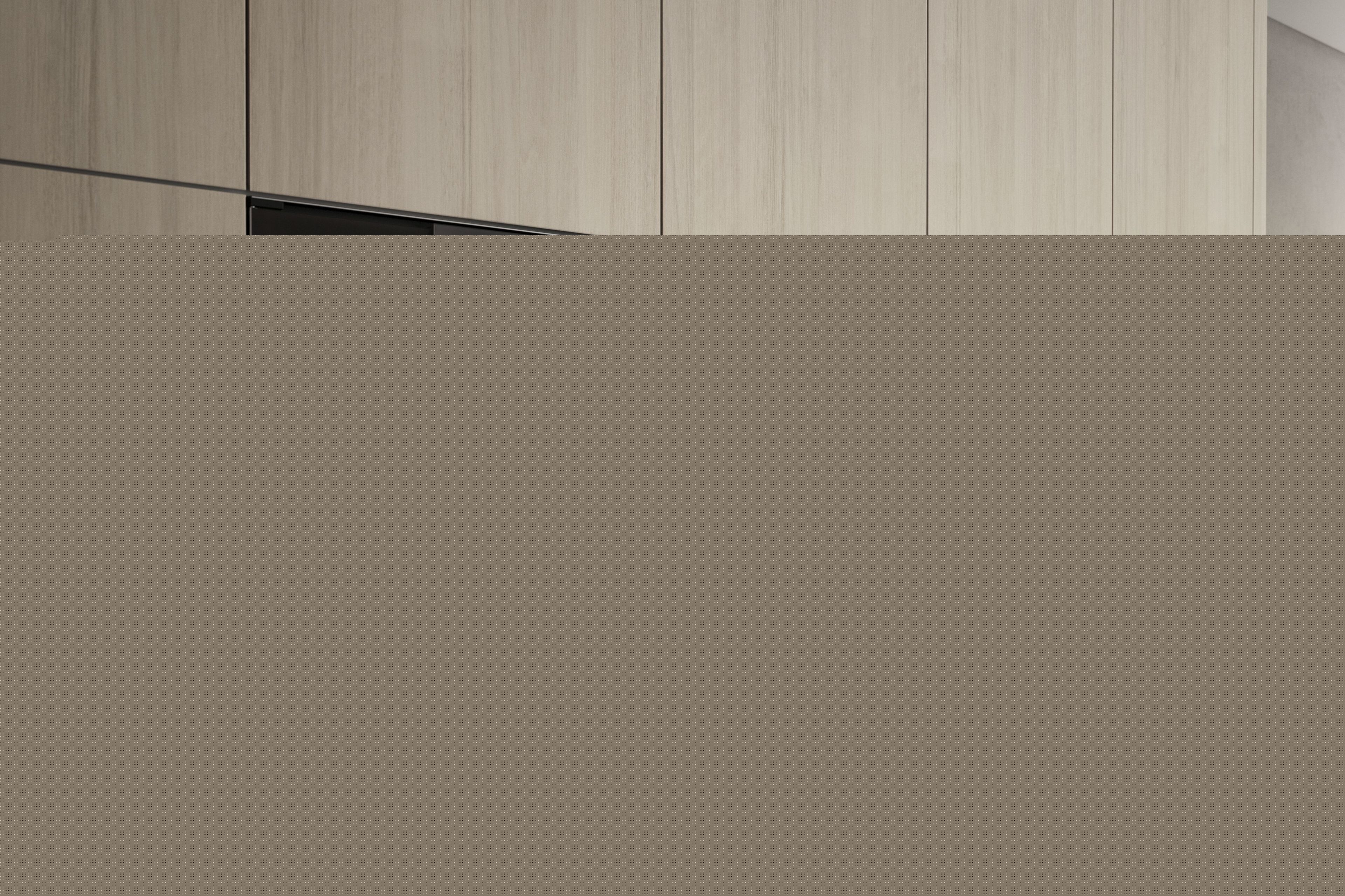 Встроенная комбинированная Паровая печь класса а GAGGENAU серия 200 ARCH-00023910 - Вид №2