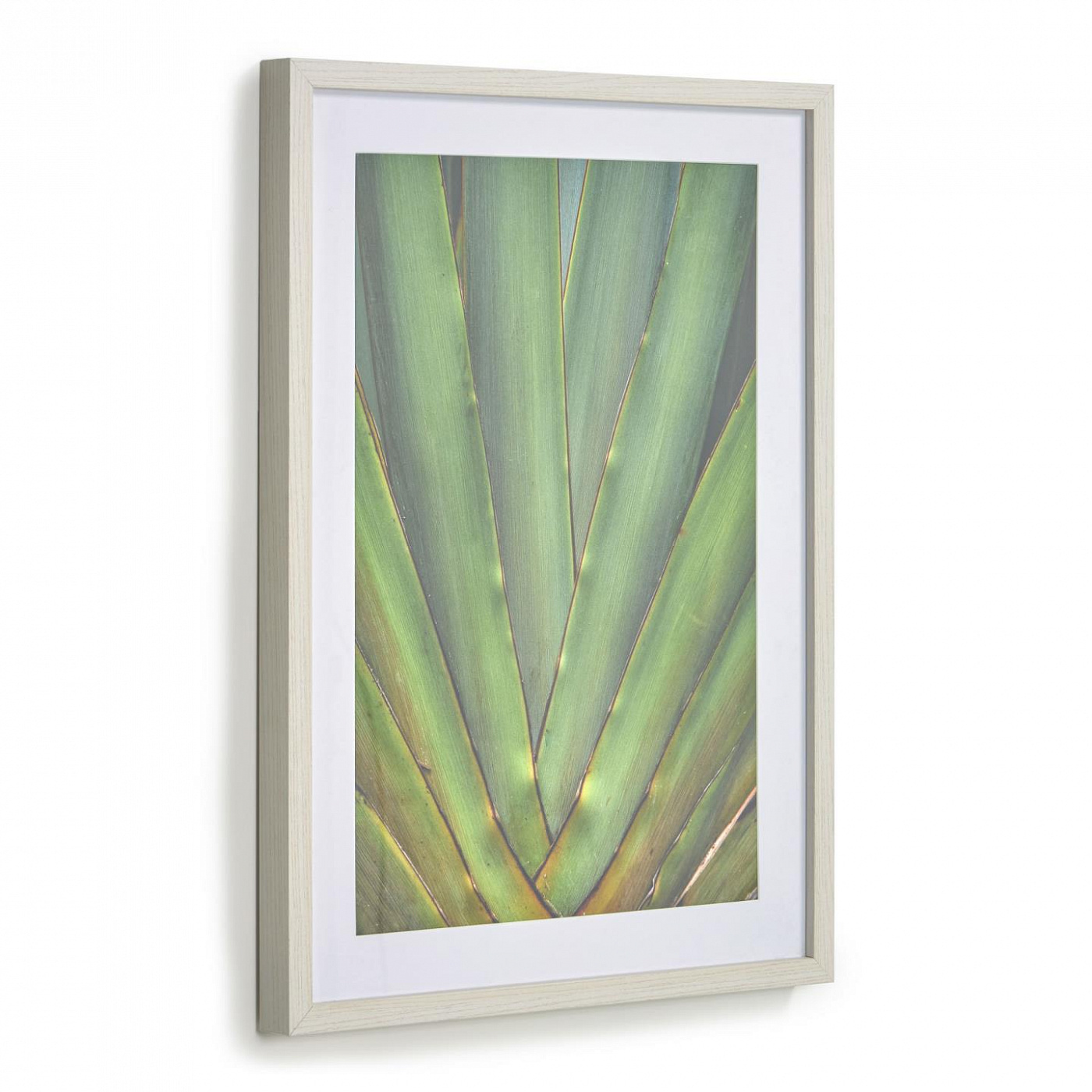 101715 Постер с зеленым алоэ 50 х 70 см La Forma Lyn  - Вид №1